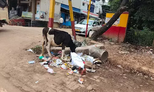 कचरा प्रबंधन में लापरवाही: लोगों ने की स्थायी समाधान की मांग कचरा प्रबंधन में लापरवाही: लोगों ने की स्थायी समाधान की मांग