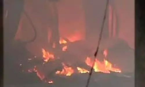 Indore : पेंट फैक्ट्री में भीषण आग, दीवारें तोड़ने के लिए जेसीबी बुलाई गई Indore : पेंट फैक्ट्री में भीषण आग, दीवारें तोड़ने के लिए जेसीबी बुलाई गई