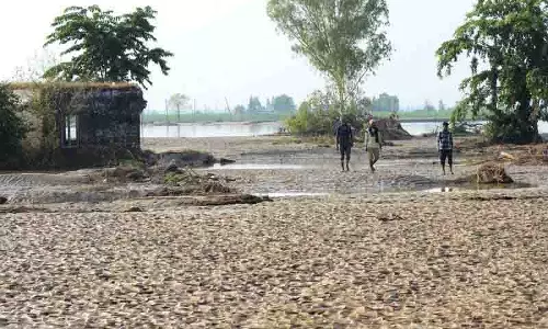 Jalandhar: विशेषज्ञ बाढ़ प्रभावित खेतों के लिए फसल के विकल्प और मृदा सुधार के उपाय सुझा रहे Jalandhar: विशेषज्ञ बाढ़ प्रभावित खेतों के लिए फसल के विकल्प और मृदा सुधार के उपाय सुझा रहे