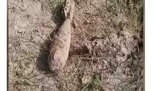 Kathua में पुराना मोर्टार शेल निष्क्रिय किया गया