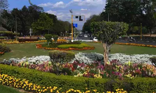 Chandigarh MC को 5 राउंडअबाउट के रखरखाव के लिए 1.70 करोड़ रुपये की बोली मिली