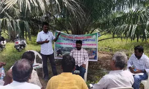 पाम तेल की खेती पर किसानों के लिए जागरूकता संगोष्ठी पाम तेल की खेती पर किसानों के लिए जागरूकता संगोष्ठी