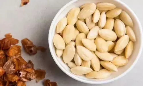 क्या आपको बादाम छिलके सहित खाना चाहिए या बिना छिलके के? क्या आपको बादाम छिलके सहित खाना चाहिए या बिना छिलके के?