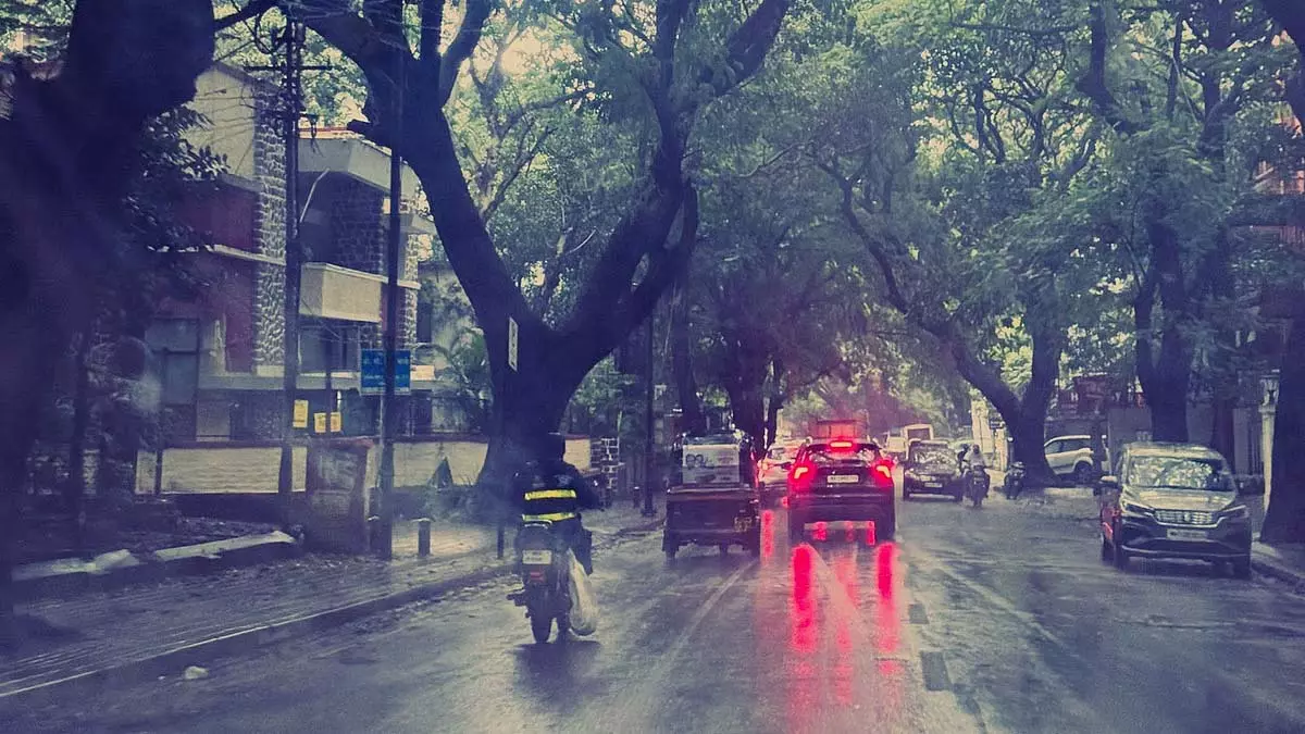 दक्षिणी जिलों में 3 दिनों तक हल्की बारिश की संभावना; राजगढ़ में अब तक का सबसे कम 14°C तापमान दर्ज किया गया दक्षिणी जिलों में 3 दिनों तक हल्की बारिश की संभावना; राजगढ़ में अब तक का सबसे कम 14°C तापमान दर्ज किया गया