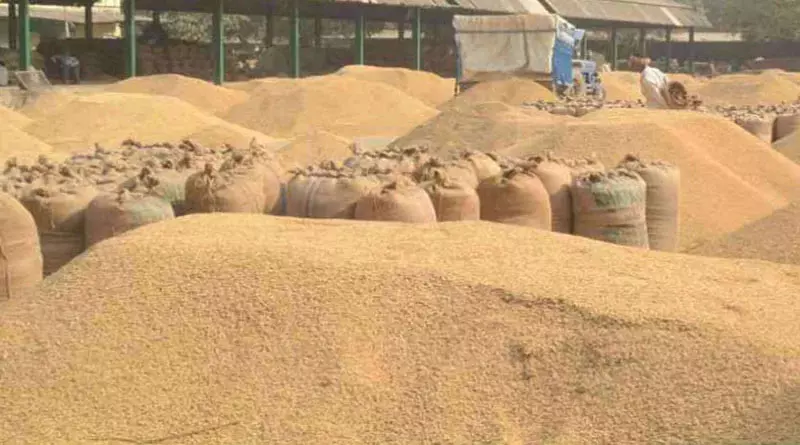 किसानों से समर्थन मूल्य पर धान खरीदी 15 नवम्बर से होगा प्रारंभ किसानों से समर्थन मूल्य पर धान खरीदी 15 नवम्बर से होगा प्रारंभ