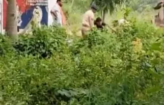 जेल परिसर में युवक ने किया हंगामा, मिलने पहुंचा था कैदी दोस्त से जेल परिसर में युवक ने किया हंगामा, मिलने पहुंचा था कैदी दोस्त से