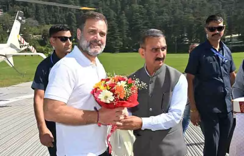 राहुल निजी यात्रा पर शिमला पहुंचे, HPCC पुनर्गठन पर ध्यान केंद्रित राहुल निजी यात्रा पर शिमला पहुंचे, HPCC पुनर्गठन पर ध्यान केंद्रित