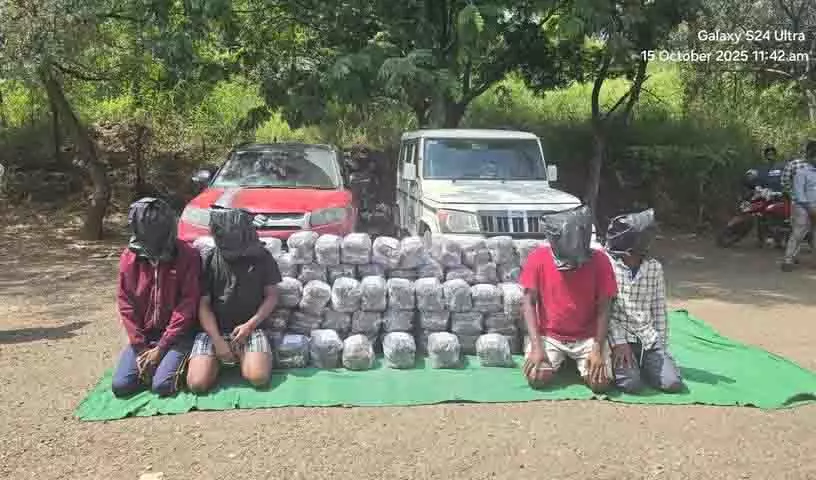 Sangareddy police ने 1.3 करोड़ रुपये मूल्य का 260 किलोग्राम गांजा जब्त किया Sangareddy police ने 1.3 करोड़ रुपये मूल्य का 260 किलोग्राम गांजा जब्त किया