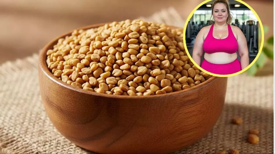 Belly की चर्बी ऐसे पिघलेगी जैसे मोम, जानिए मेथी दाना का सही सेवन और फायदे Belly की चर्बी ऐसे पिघलेगी जैसे मोम, जानिए मेथी दाना का सही सेवन और फायदे