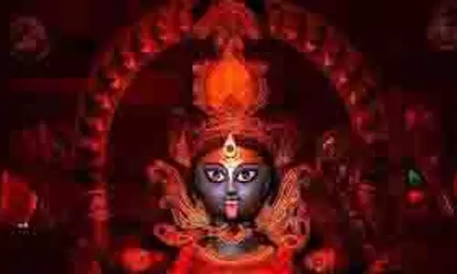 Kali Puja 2025: काली पूजा के दिन इन कामों की करने की होती है मनाही, जानें क्या करें क्या नहीं