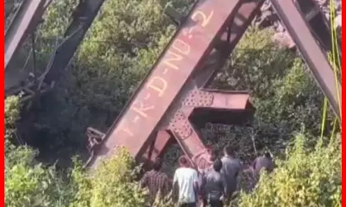 लोहे के लालच में मौत, चोर ने जान गंवाई लोहे के लालच में मौत, चोर ने जान गंवाई