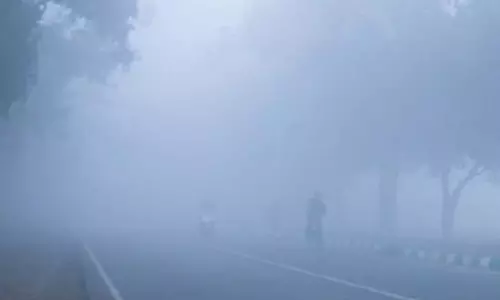 अंबिकापुर में ज्यादा ठंड, अपने जिले का हाल जानिए?