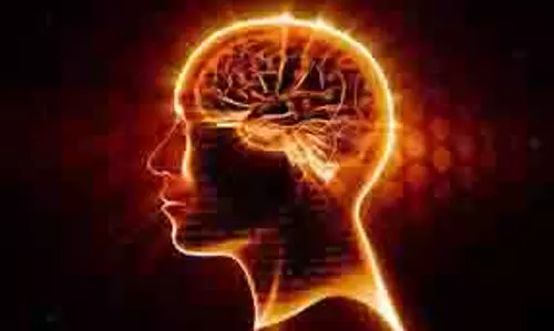Human Brain: इंसानी दिमाग को इस चीज की है जरूरत, न्यूरोसाइंटिस्ट की चेतावनी