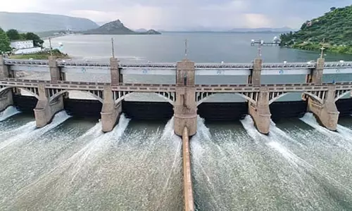 डेल्टा सिंचाई के लिए पानी छोड़ने में कमी