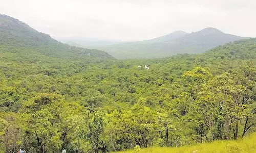 MoEF अधिकारियों ने कर्नाटक के तुमकुरु जंगलों में माइनिंग पर रोक लगा दी है