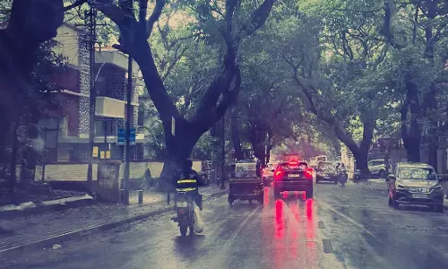 दक्षिणी जिलों में 3 दिनों तक हल्की बारिश की संभावना; राजगढ़ में अब तक का सबसे कम 14°C तापमान दर्ज किया गया