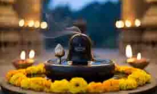 Diwali 2025: दिवाली के दिन शिव जी को चढ़ाएं ये चीजें, महादेव की कृपा से बनेंगे बिगड़े काम! Diwali 2025: दिवाली के दिन शिव जी को चढ़ाएं ये चीजें, महादेव की कृपा से बनेंगे बिगड़े काम!