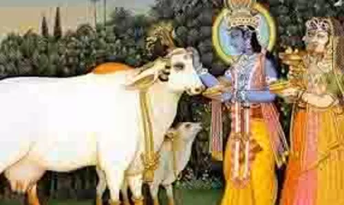 Govatsa Dwadashi 2025: कब है गोवत्स द्वादशी व्रत, जानें शुभ मुहूर्त, पूजा विधि और नियम