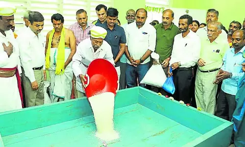 कावेरी की पवित्र तीर्थ यात्रा की उल्टी गिनती: तैयारियां ज़ोरों पर चल रही हैं