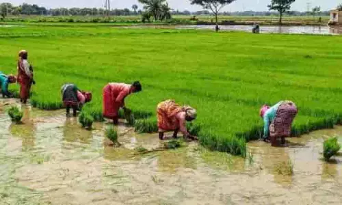 फसल ऋणों पर प्रतिबंध लगाने पर Tamil Nadu के किसानों ने नाराजगी जताई