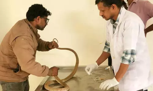 Yellapur : थके हुए साँप की देखभाल होना सौभाग्य की बात है Yellapur : थके हुए साँप की देखभाल होना सौभाग्य की बात है
