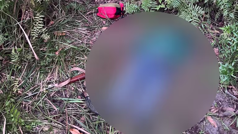Assam : काजीरंगा में सुबह मुठभेड़ के बाद हथियारबंद शिकारी ढेर, शिकार विरोधी अभियान जारी Assam : काजीरंगा में सुबह मुठभेड़ के बाद हथियारबंद शिकारी ढेर, शिकार विरोधी अभियान जारी