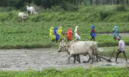 वनकलम धान की खरीद शुरू होने से Khammam के किसान यासंगी बोनस का इंतजार कर रहे