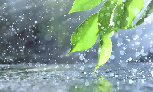 सप्ताहांत में बारिश का अनुमान, योजनाएँ विफल हो सकती