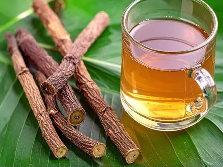 हिमालयी इलाके में उगने वाली मुलेठी है चमत्कारी, पेट से लेकर त्वचा रोगों तक में देती है राहत हिमालयी इलाके में उगने वाली मुलेठी है चमत्कारी, पेट से लेकर त्वचा रोगों तक में देती है राहत