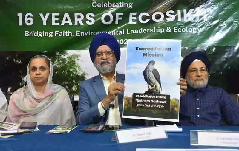 Eco Sikh ने पंजाब के राज्य पक्षी बाज को पुनर्जीवित करने की योजना की घोषणा की Eco Sikh ने पंजाब के राज्य पक्षी बाज को पुनर्जीवित करने की योजना की घोषणा की