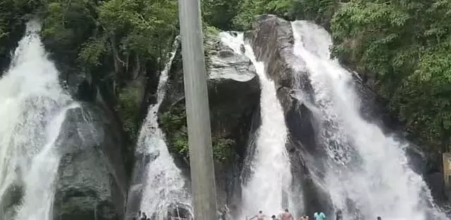 दक्षिणी जिलों में भारी बारिश; कोर्टाला झरने में नहाने पर रोक दक्षिणी जिलों में भारी बारिश; कोर्टाला झरने में नहाने पर रोक
