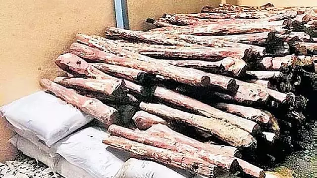 राज्य में पैदावार और क्वालिटी में गिरावट: ऑस्ट्रेलिया कर्नाटक को चंदन का तेल एक्सपोर्ट कर रहा है राज्य में पैदावार और क्वालिटी में गिरावट: ऑस्ट्रेलिया कर्नाटक को चंदन का तेल एक्सपोर्ट कर रहा है