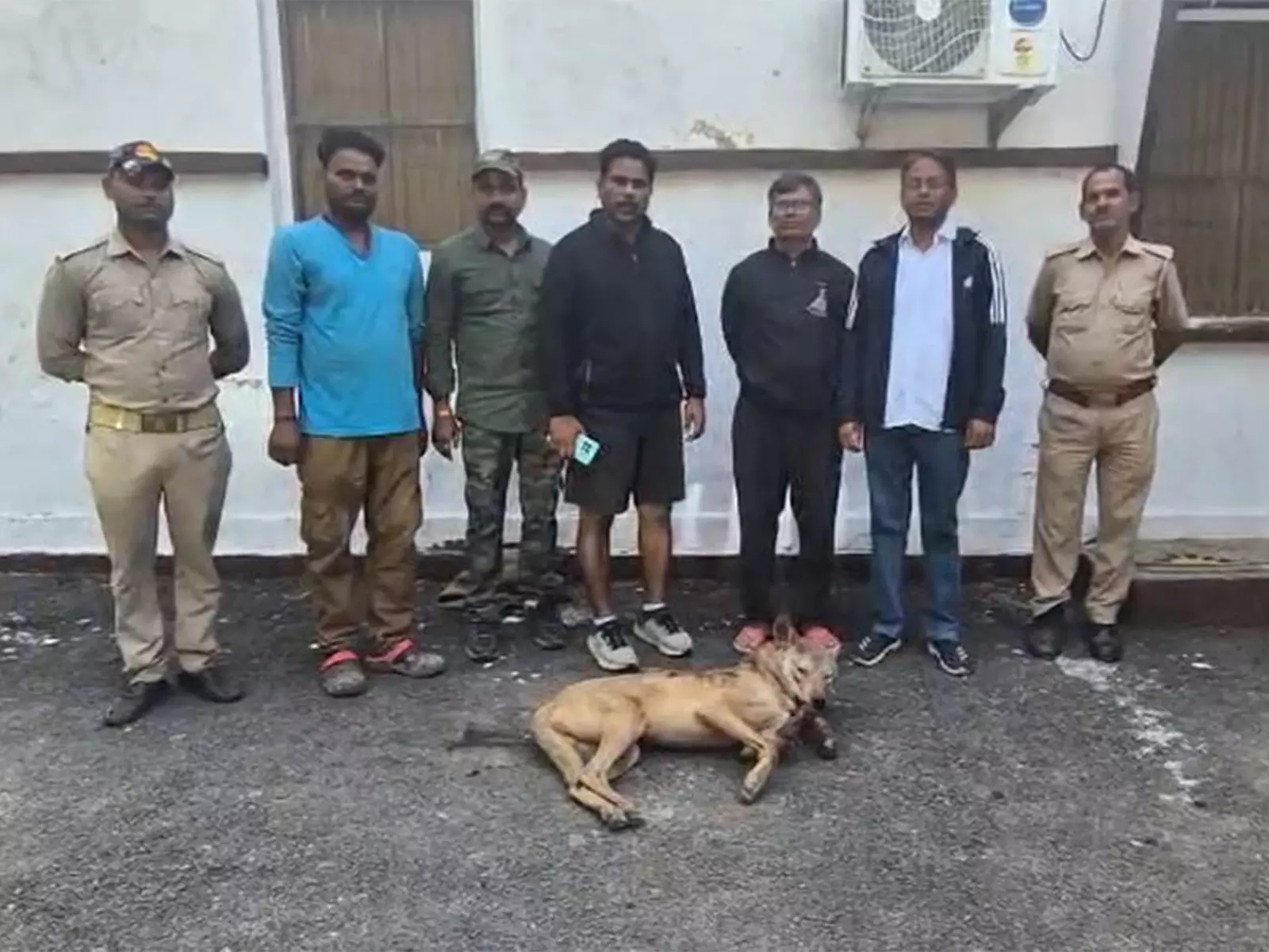 Bahraich में 25 से अधिक लोगों पर हमला करने वाले आदमखोर भेड़िये को मार गिराया गया: वन विभाग Bahraich में 25 से अधिक लोगों पर हमला करने वाले आदमखोर भेड़िये को मार गिराया गया: वन विभाग
