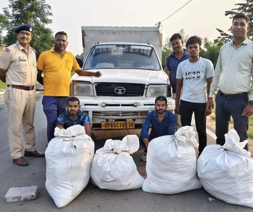 CG BREAKING: अंतरराज्यीय गांजा तस्करी नाकाम, 1 क्विंटल 10 किलो 400 ग्राम गांजा बरामद, दो आरोपी गिरफ्तार CG BREAKING: अंतरराज्यीय गांजा तस्करी नाकाम, 1 क्विंटल 10 किलो 400 ग्राम गांजा बरामद, दो आरोपी गिरफ्तार
