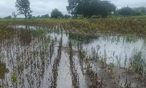 दिवाली से पहले 4 लाख से ज़्यादा किसानों को 328 करोड़ के बारिश से हुए नुकसान के मुआवज़े का इंतज़ार