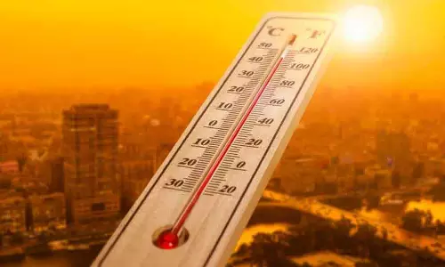 Washington हर साल 57 और गर्म दिन बढ़ेंगे Washington हर साल 57 और गर्म दिन बढ़ेंगे
