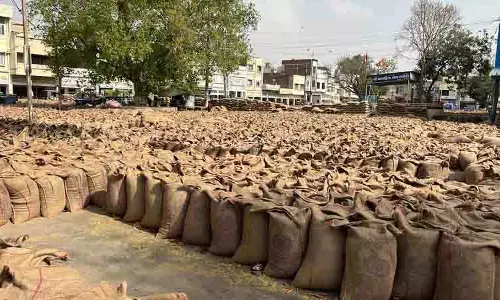 Punjab: 4 जिलों की 40 मंडियां सौर ऊर्जा से चलेंगी
