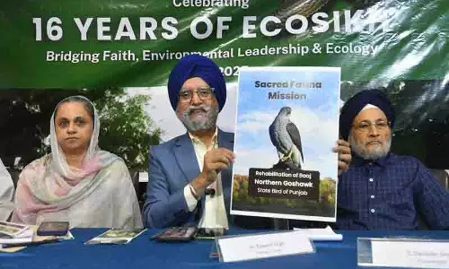 Eco Sikh ने पंजाब के राज्य पक्षी बाज को पुनर्जीवित करने की योजना की घोषणा की Eco Sikh ने पंजाब के राज्य पक्षी बाज को पुनर्जीवित करने की योजना की घोषणा की