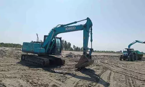 बाढ़ प्रभावित Fazilka के किसान संकट को आजीविका का स्रोत बना रहे बाढ़ प्रभावित Fazilka के किसान संकट को आजीविका का स्रोत बना रहे