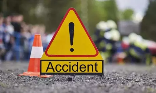 जंगली हाथी के डर से बाइक पलटी; यात्री घायल