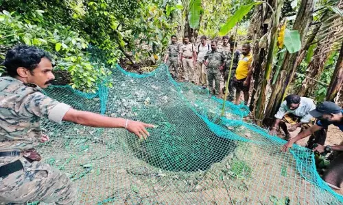 Kerala : पेरुमपुल्ला में बाघ मिलने के बाद फॉरेस्ट गार्ड ने कुएं का निरीक्षण किया