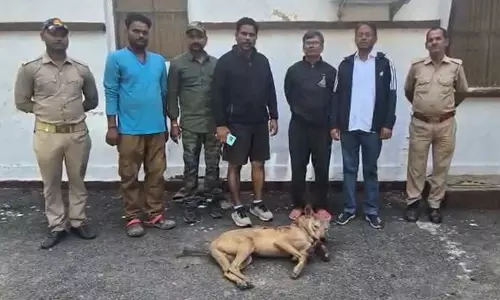 Bahraich में 25 से अधिक लोगों पर हमला करने वाले आदमखोर भेड़िये को मार गिराया गया: वन विभाग