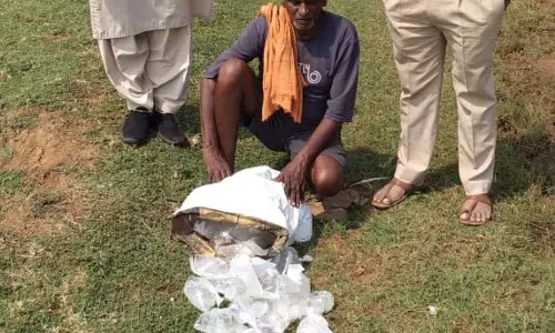 हाथभठ्ठी महुआ शराब जब्त, आबकारी विभाग की कार्रवाई हाथभठ्ठी महुआ शराब जब्त, आबकारी विभाग की कार्रवाई