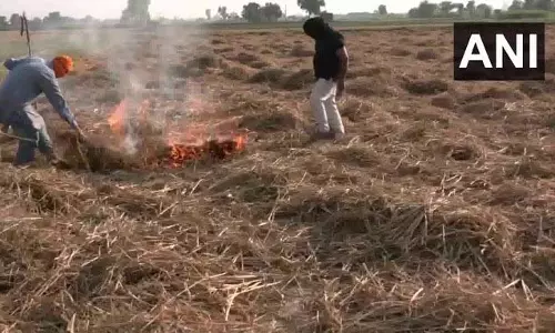 अमृतसर में मेहता गांव में खेत में पराली जलाने की घटना