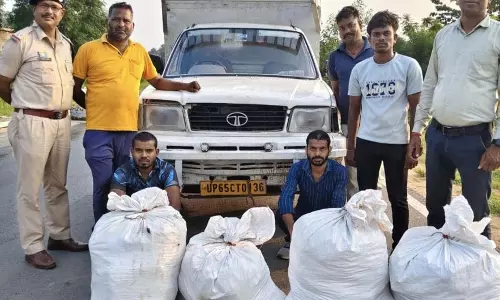 CG BREAKING: अंतरराज्यीय गांजा तस्करी नाकाम, 1 क्विंटल 10 किलो 400 ग्राम गांजा बरामद, दो आरोपी गिरफ्तार