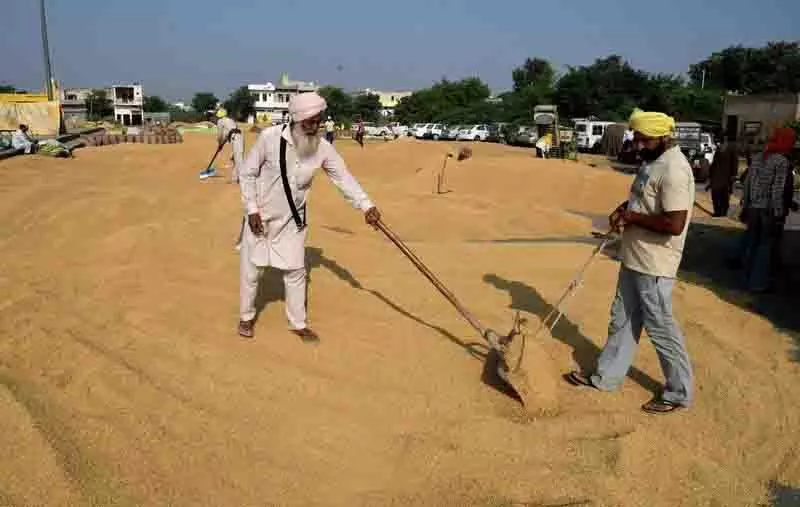Punjab: केंद्रीय टीम ने धान की पैदावार में गिरावट का सामना कर रहे जिलों का सर्वेक्षण पूरा किया Punjab: केंद्रीय टीम ने धान की पैदावार में गिरावट का सामना कर रहे जिलों का सर्वेक्षण पूरा किया