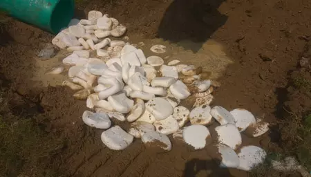 2,500 किलो मिलावटी पनीर नष्ट, नमूने लेकर भेजा गया प्रयोगशाला 2,500 किलो मिलावटी पनीर नष्ट, नमूने लेकर भेजा गया प्रयोगशाला