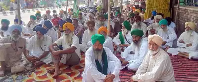 Chandigarh: किसानों ने बौने वायरस से धान को हुए नुकसान के लिए मुआवजे की कमी की निंदा की Chandigarh: किसानों ने बौने वायरस से धान को हुए नुकसान के लिए मुआवजे की कमी की निंदा की