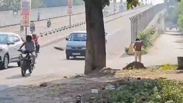 UP: बरेली में मधुमक्खियों के हमले के बाद शर्ट उतारकर भागता हुआ व्यक्ति UP: बरेली में मधुमक्खियों के हमले के बाद शर्ट उतारकर भागता हुआ व्यक्ति
