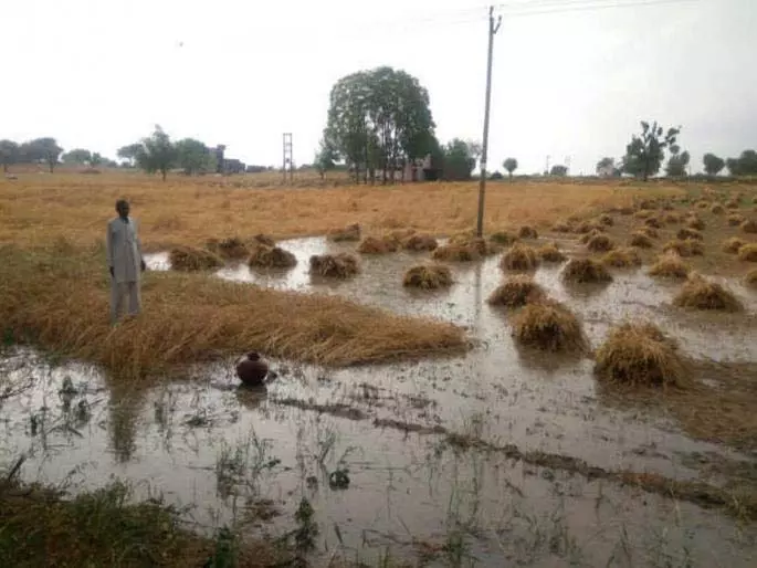 34 जिलों में 61 लाख हेक्टेयर भूमि क्षतिग्रस्त, सरकारी सहायता का इंतजार 34 जिलों में 61 लाख हेक्टेयर भूमि क्षतिग्रस्त, सरकारी सहायता का इंतजार